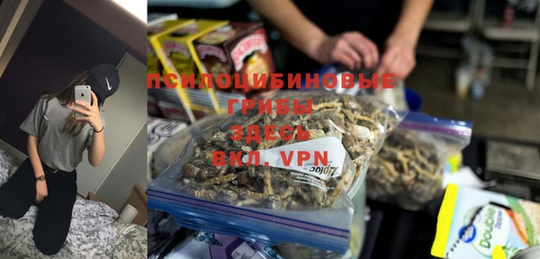 стаф Магадан