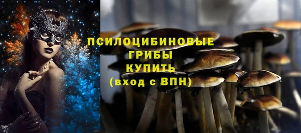 МДМА Лихославль
