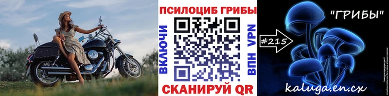 Купить где  Снежногорск  Галлюциногенные грибы Cubensis 